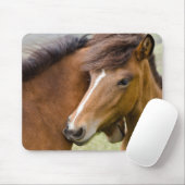 Stute und Fohlen Mousepad (Mit Mouse)