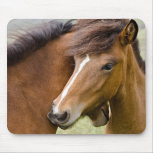 Stute und Fohlen Mousepad
