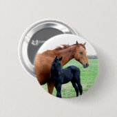 Stute und ihr Colt Button (Vorne & Hinten)
