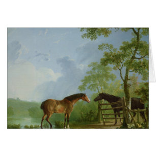 Stute und Stallion in einer Landschaft