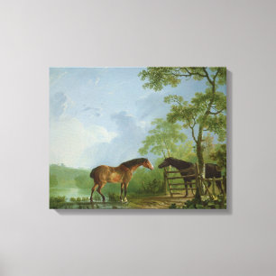 Stute und Stallion in einer Landschaft Leinwanddruck