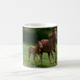 Stuten-u. Fohlen-Betrieb Kaffeetasse