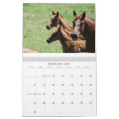 Stuten-u. Fohlen-Kalender Kalender (Feb 2027)
