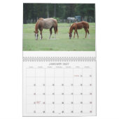 Stuten-u. Fohlen-Kalender Kalender (Jan 2027)