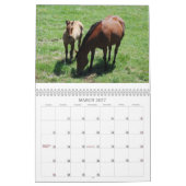 Stuten-u. Fohlen-Kalender Kalender (Mär 2027)