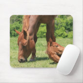 Stuten-und Colt-Mausunterlage Mousepad (Mit Mouse)