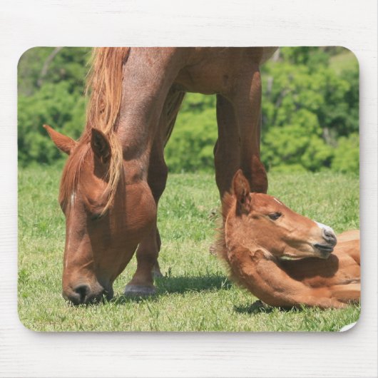 Stuten-und Colt-Mausunterlage Mousepad (Vorne)