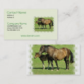 Stuten-und Fohlen-Visitenkarte Visitenkarte (Vorne/Hinten)