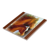 Stuten- und Pony-Keramik-Fotofliese Fliese (Seite)