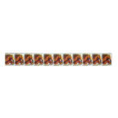 Stuten und Ponys, Satinband (Vorderseite)