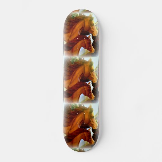 Stuten und Ponys Skateboard (Vorderseite)