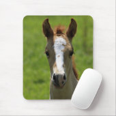 Stutenfohlen Mousepad (Mit Mouse)