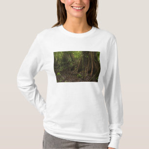 Stütz Wurzeln. Regenwald, Mapari Rupununi, T-Shirt