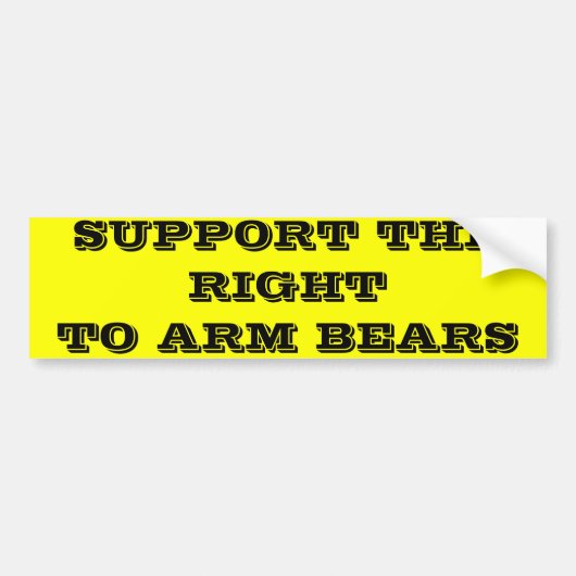 STÜTZEN SIE DAS RECHT, BÄREN ZU BEWAFFNEN AUTOAUFKLEBER (Vorne)