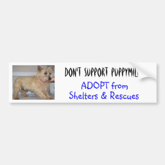 Stützen Sie nicht Puppymills -- Straggles Autoaufkleber