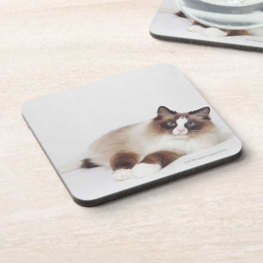 Stützende Katze Untersetzer (Linke Seite)