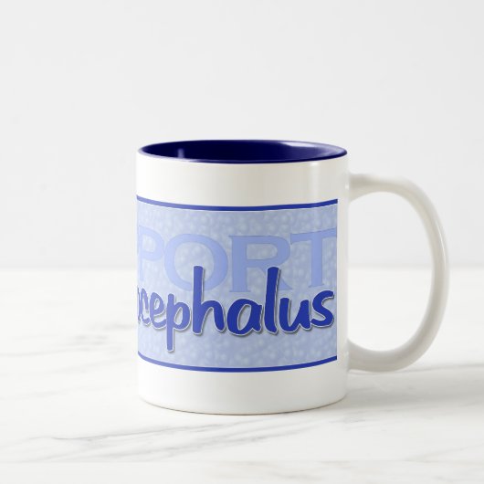 "Stützhydrocephalus-" Tasse (Rechts)