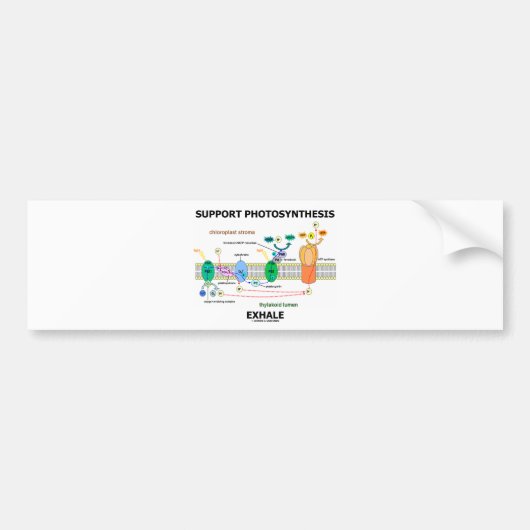 Stützphotosynthese atmen aus (Biochemie-Spaß) Autoaufkleber (Vorne)