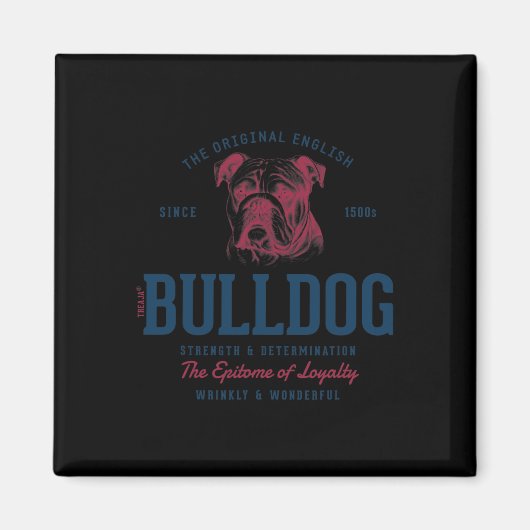 Styled Vintag English Bulldog Magnet (Vorne)