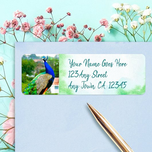 Stylisch blaugrünes Pfau-Foto-Adresse