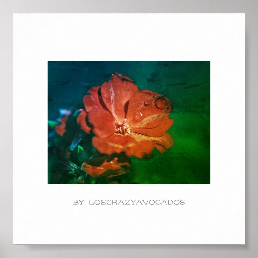 Stylisches Red Green Geranium Blume Poster (Vorne)