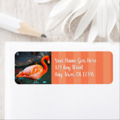 Stylisches Rosa Flamingo Foto benutzerdefinierte S (Insitu)