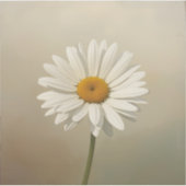 stylised blooming daisy paintings aufkleber (Vorderseite)