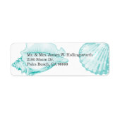 Stylish Aqua Seashells (Vorne)