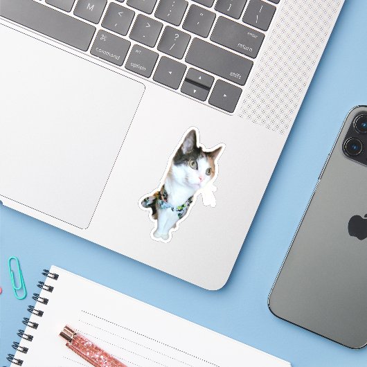 Stylish Cat Funny Sticker (Laptop mit iPhone)