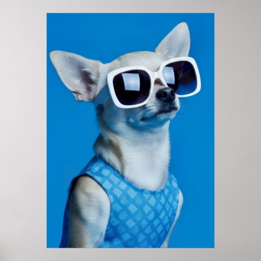 Stylish Chihuahua in Sunglasses Poster (Vorne)
