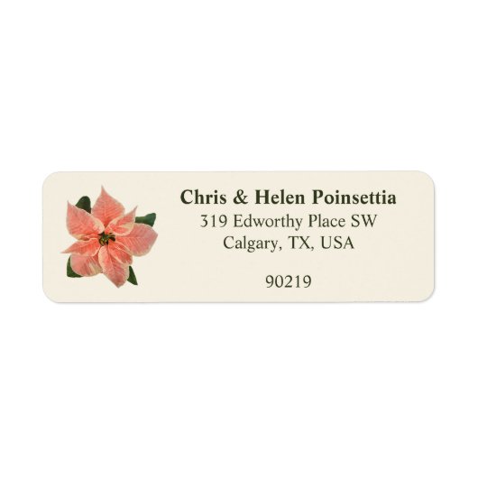 Stylish Coral Poinsettia Cream Address (Vorne)