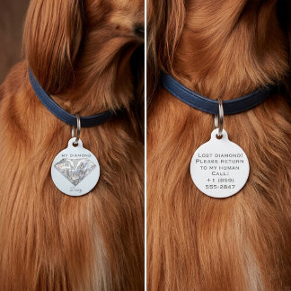 Stylish Diamond Jewelry Personalized Round Pet Tag Haustiermarke