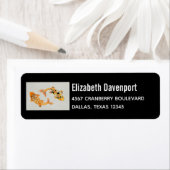 Stylish Gold Koi Fish (Insitu)