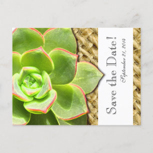 Stylisierte Hen und Chick Burlap Save the Date Ankündigungspostkarte