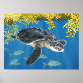 Stylisierte Kemp's Ridley Sea Turtle mit Sargassum Poster (Vorne)