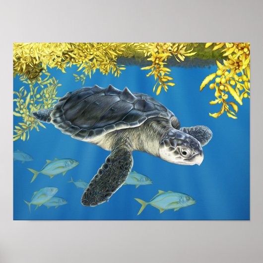 Stylisierte Kemp's Ridley Sea Turtle mit Sargassum Poster (Vorne)