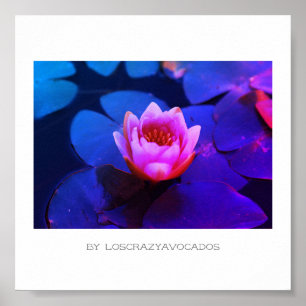 Stylisierte Pink Water Lily Blume Pflanze Poster