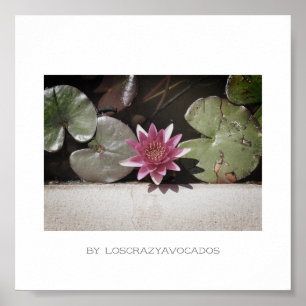 Stylisierte Red Green Water Lily Blume Pflanze Pos Poster