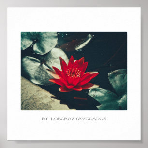 Stylisierte Red Green Water Lily Blume Pflanze Pos Poster