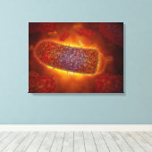 Stylisierte Tollwut-Viruspartikel 2 Leinwanddruck (Insitu (Holzboden))