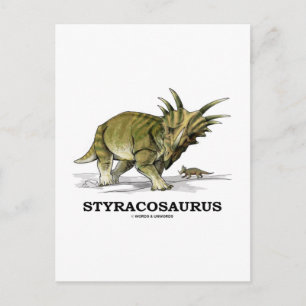 Styracosaurus Postkarte