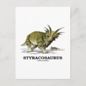 Styracosaurus Postkarte (Vorderseite)