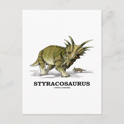 Styracosaurus Postkarte (Vorderseite)