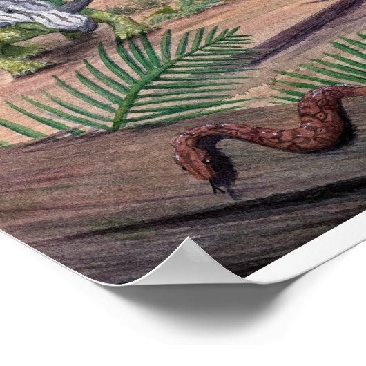 Styracosaurus Print Poster (Ecke)