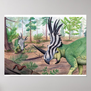 Styracosaurus Print Poster