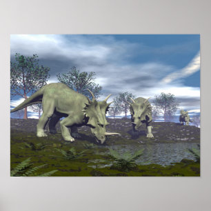 Styracosaurusdinosaurier, die gehen zu wässern - poster