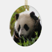 SU Lin, PandaBärenjunges am San Diego Zoo Keramikornament (Rechts)