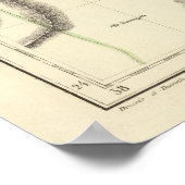 Suadia Arabia, Kuwait 78 Poster (Ecke)