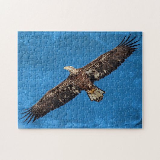 Subadulter Adler Puzzle (Horizontal)