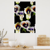 Sublime Watercolor Arum Calla Lilies Poster (Küche)